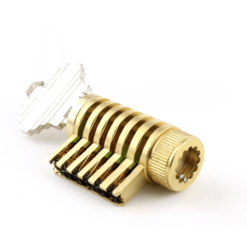 Practice Lock - Dangerfield Infinitus Repinnable Cutaway & Tweezers