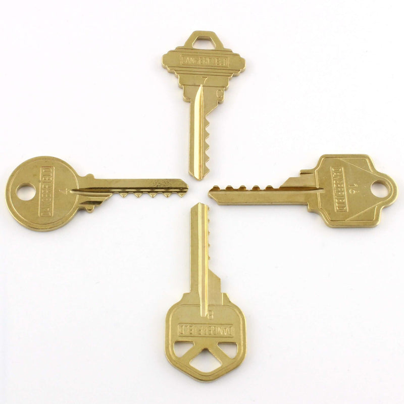 Bump Keys - Dangerfield - Ideal Beginner lock picking set