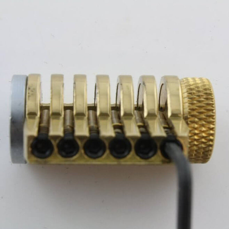 Practice Lock - Dangerfield Infinitus Repinnable Cutaway & Tweezers